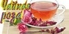 Чайная роза